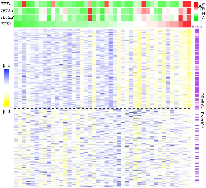 Anti-correlation between the TET mRNA expression level and methylation β-value.