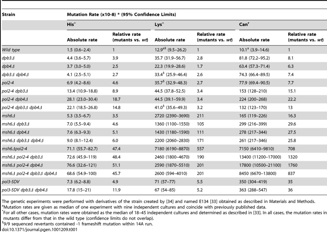 Spontaneous mutation rates in strains with <i>dpb3Δ</i> and <i>dpb4Δ</i>, <i>pol2-4</i> mutation, <i>msh6Δ,</i> and <i>pol-5DV.</i>