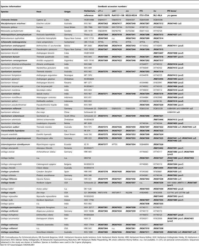 Species collection as well as accession numbers of the 5-gene phylogeny and PR loci-associated genes.