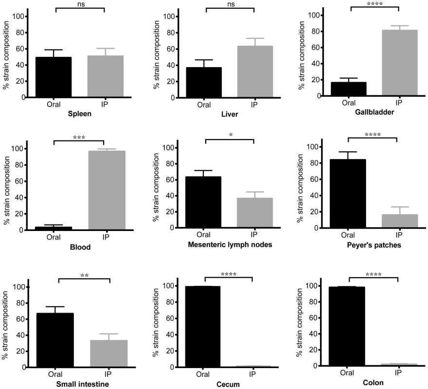 Systemic <i>Salmonella</i> are excluded from the distal gut during competition with an established gut strain.