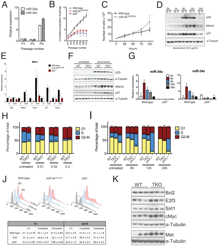 Response to p53 activation in miR-34<sup>TKO/TKO</sup> mouse embryonic fibroblasts (MEFs).