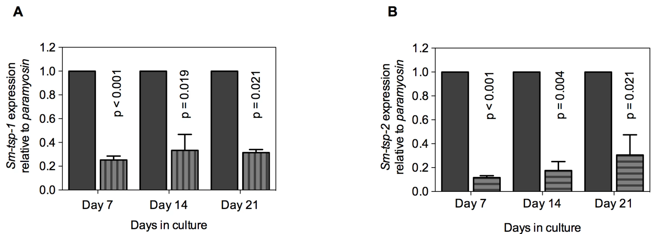 Suppression of <i>Sm-tsp</i> mRNAs in schistosomula by RNAi.