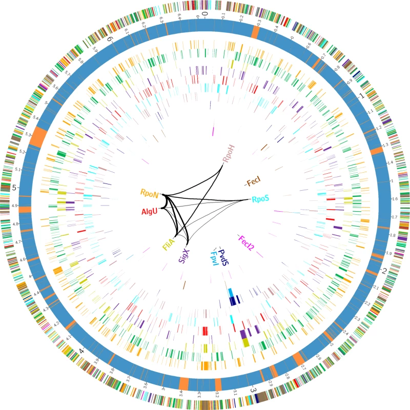 The <i>P</i>. <i>aeruginosa</i> strain PA14 sigma factor regulome.