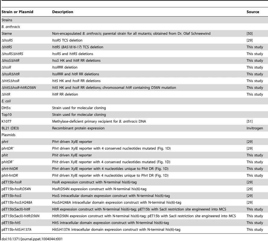 Strains and plasmids.