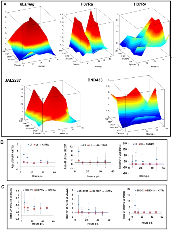 Delineating the virMtb-specific effects on macrophage glycolysis.