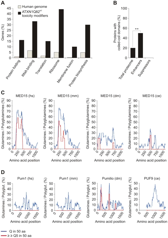 Specific functional categories and structural domains are over-represented among YFP-ATXN1Q82<sup>NT</sup> toxicity modifiers.