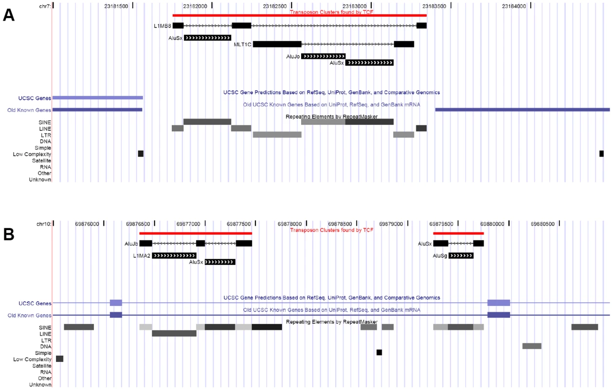 Examples of transposon clusters.
