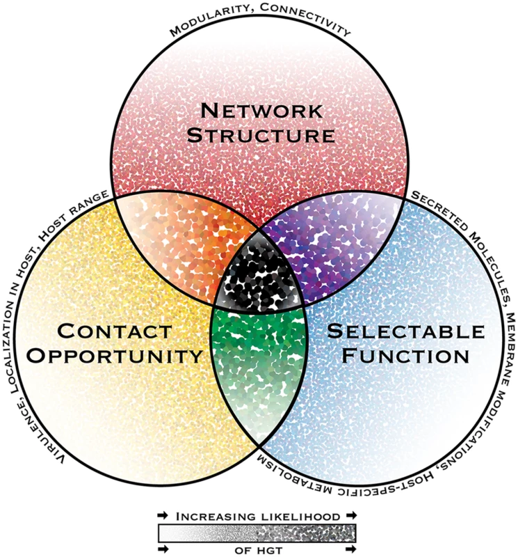The interacting dimensions of horizontal gene transfer in eukaryotic microbial pathogens.