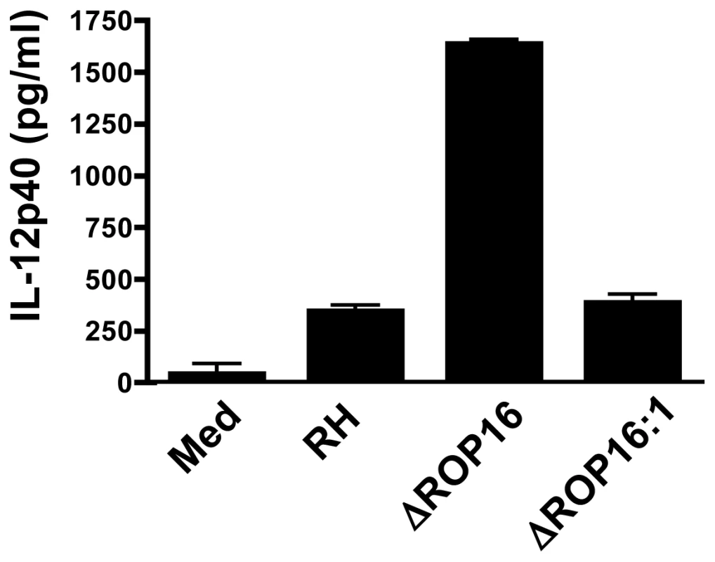 ROP16 negatively regulates IL-12p40 production.