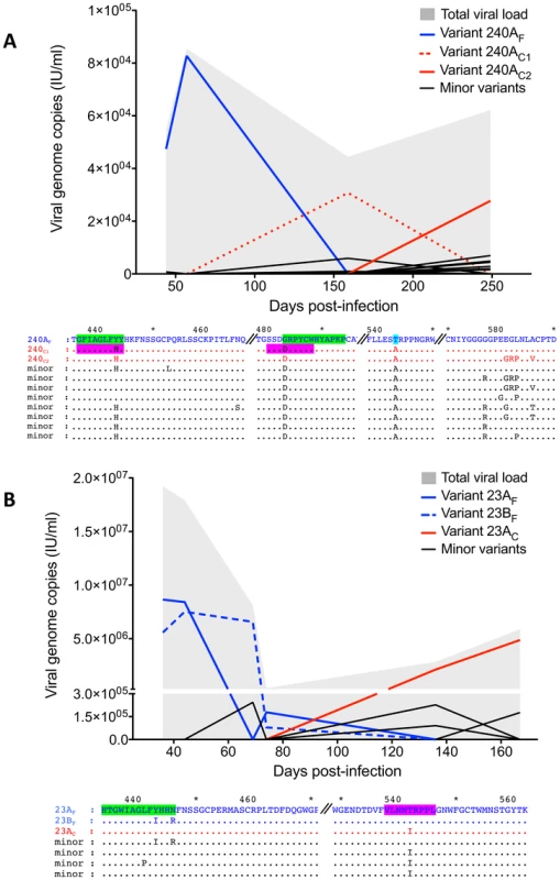 Evolution of the partial E2 region of individual HCV variants at the amino acid level.