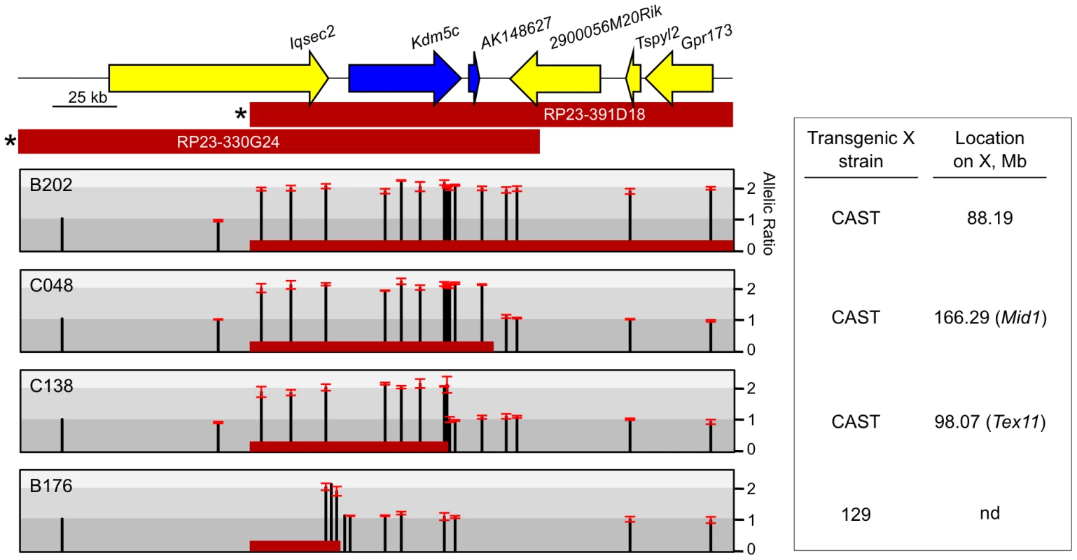 Mapping transgene deletion breakpoints.