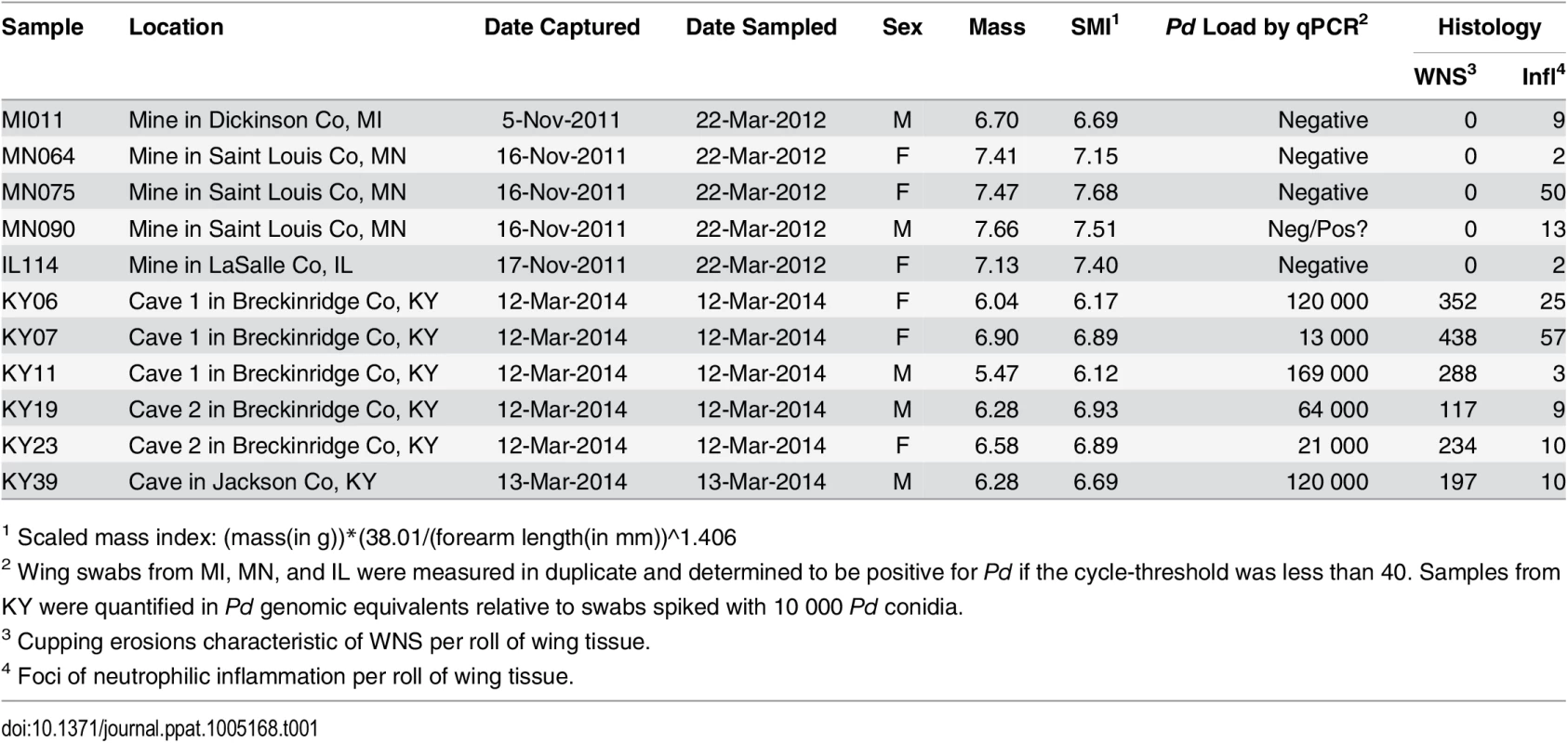 Samples used for next generation RNA sequencing.