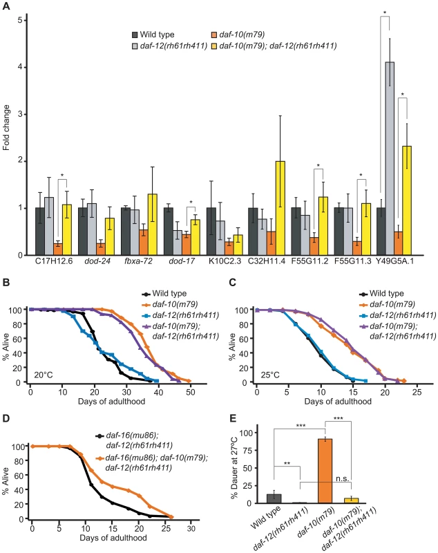 <i>daf-10</i> mutations influence the expression of DAF-12/NHR-regulated genes.
