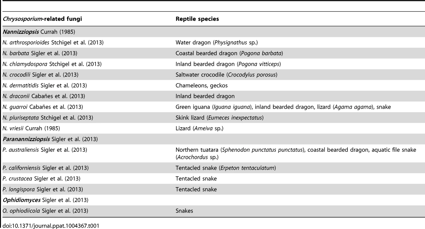 Proposed species causing infection in reptiles <em class="ref">[21]</em>, <em class="ref">[23]</em>.