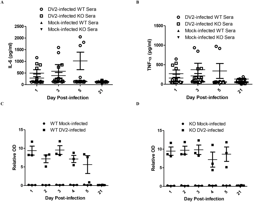 DV2-infected mice up-regulates IL-6, TNF-α and produces DV NS1 protein.
