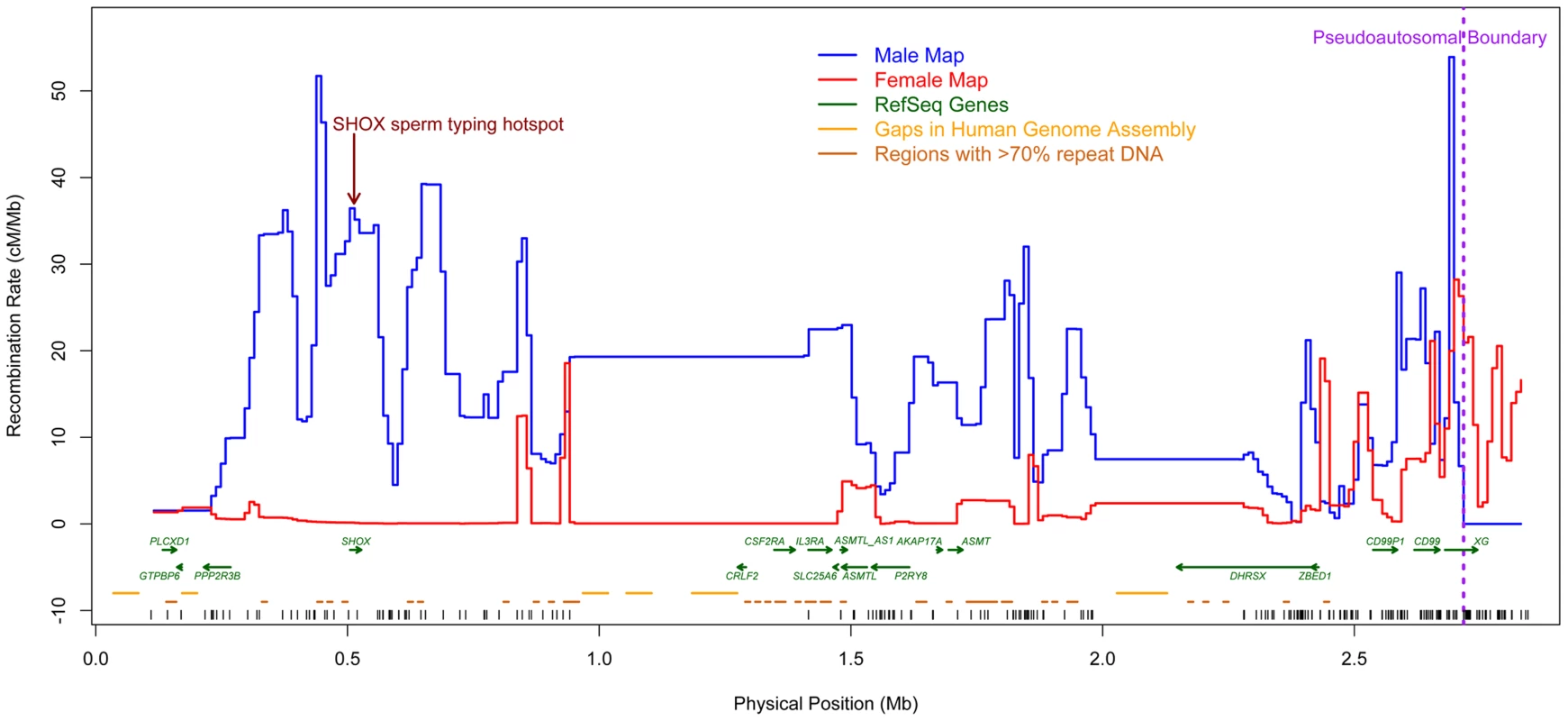 New sex-specific pedigree-based genetic maps (10 kb scale).