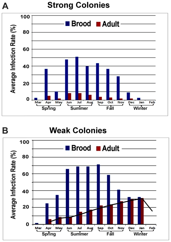 Average prevalence of IAPV infection in a single month.