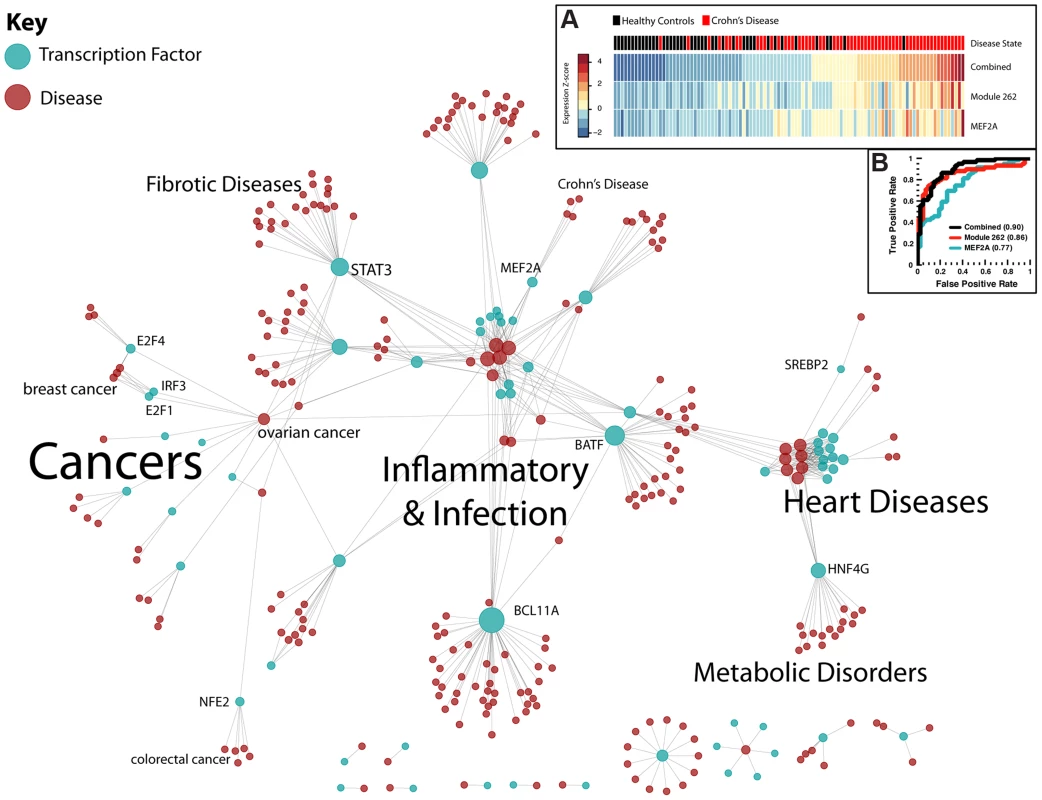 Regulatory network of human disease.