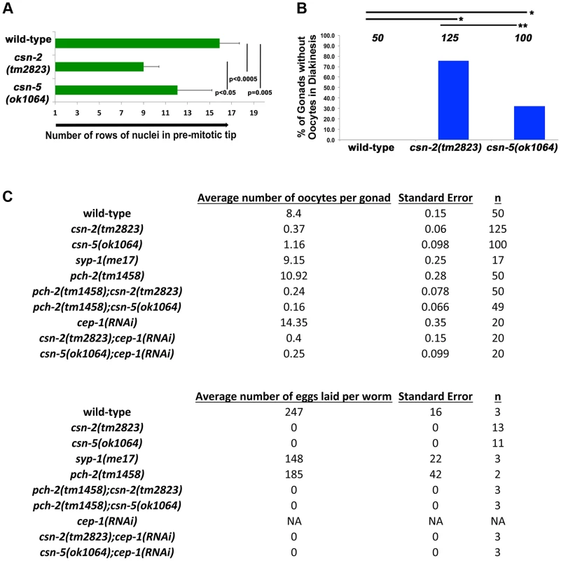Quantification of the lack of oocytes and fecundity test.