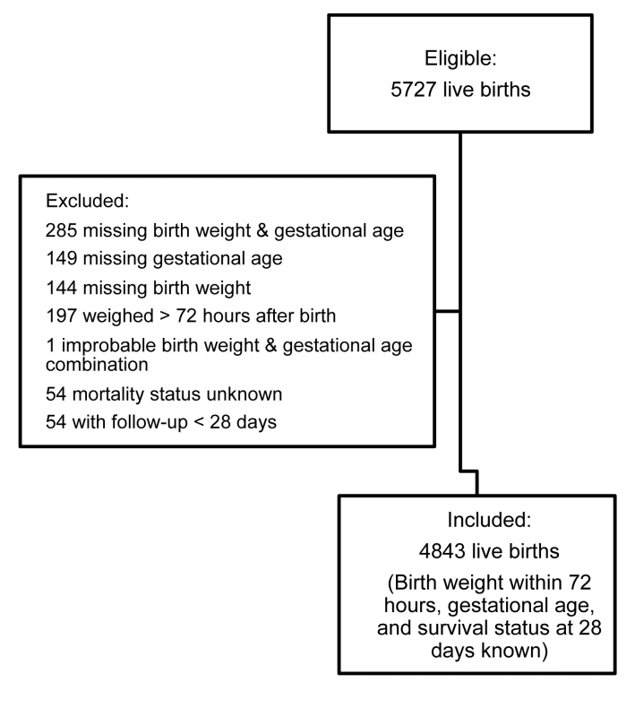 Flow chart of combined study population.