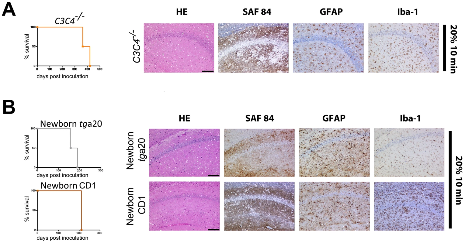 Prion transmission through aerosols in complement-deficient and newborn mice.