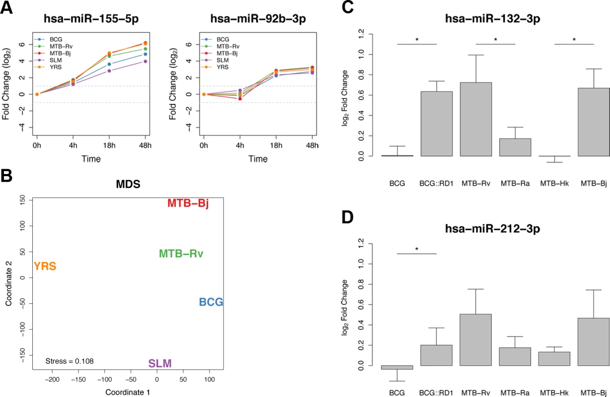 Shared and specific miRNA responses to bacterial infection.