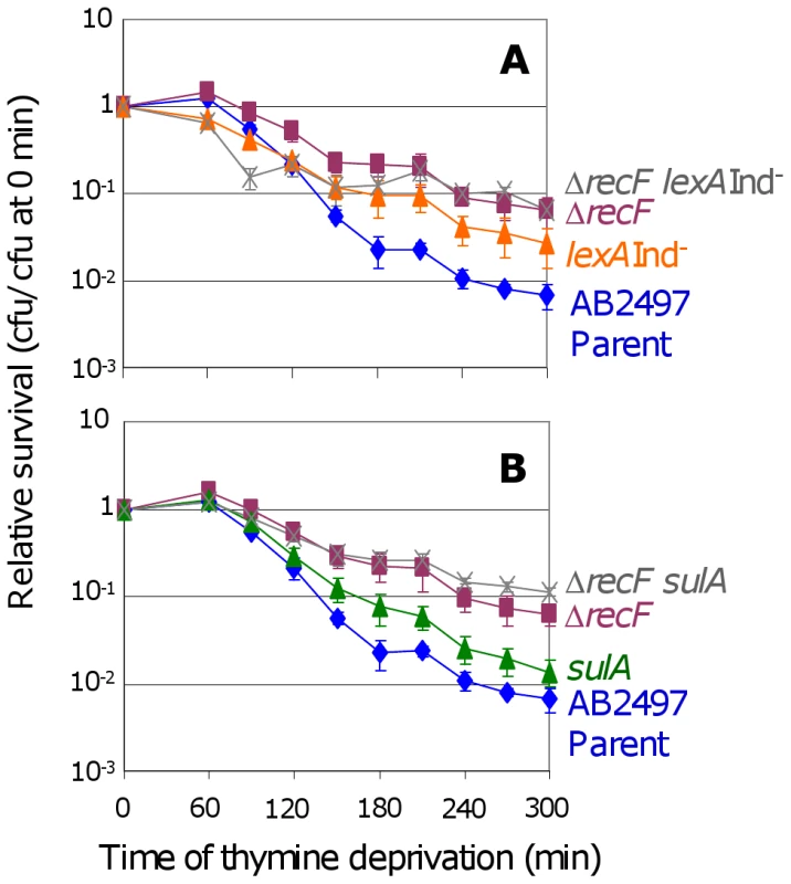 RecF promotes TLD <i>via</i> SOS–dependent and SOS–independent pathways.