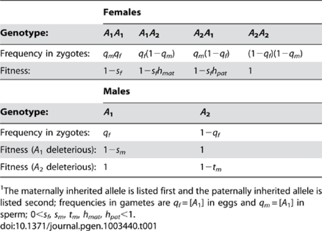 Fitnesses and frequencies of genotypes at the <i>A</i> locus.<em class="ref">1</em>