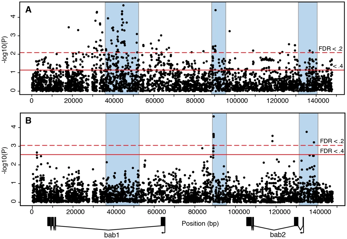 Association mapping of adult pigmentation and transcriptional variation in the subset of lines used to measure <i>bab</i> expression.