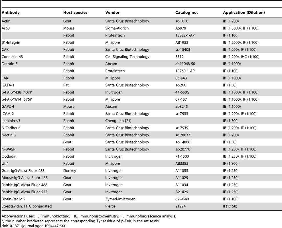 Antibodies used for different experiments in this report.