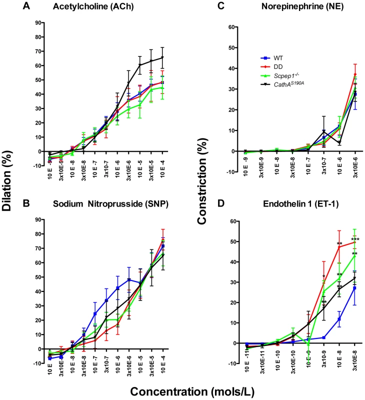 ET-1 causes significantly stronger constriction in mesenteric arteries from mice with Scpep1 deficiency.