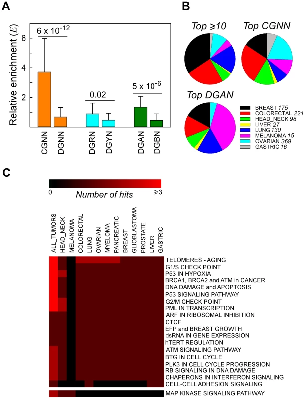 Recurrent NS substitutions display sequence context-dependent patterns of mutation.