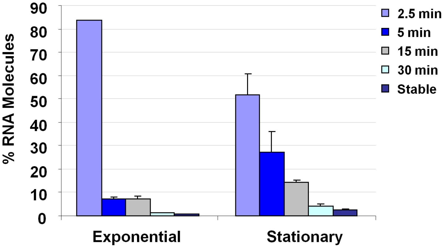 <i>S. aureus</i> growth phase mRNA turnover measurements.