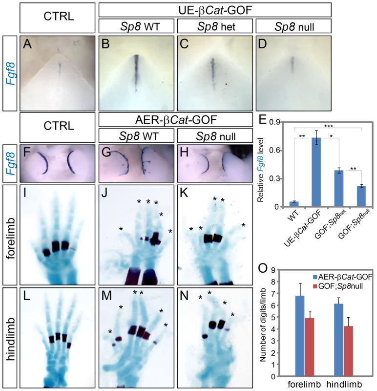 WNT-induced ectopic <i>Fgf8</i> expression was attenuated in <i>Sp8</i> conditional knockouts.