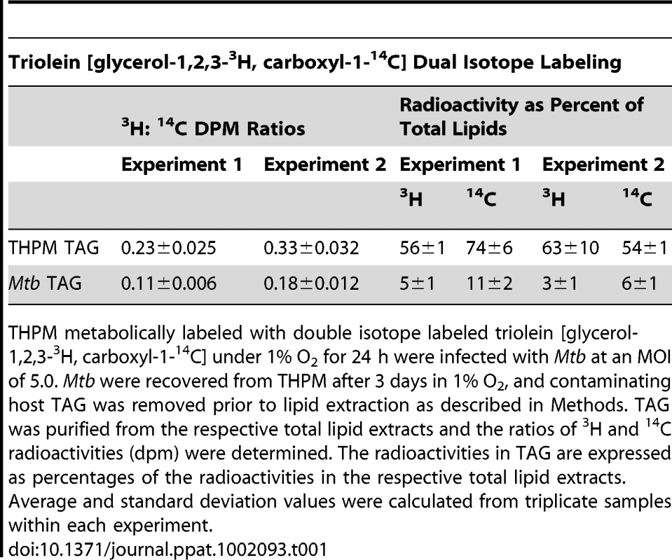 Fatty acids derived from host triacylglycerol are imported by <i>Mtb</i> inside lipid-loaded macrophages.