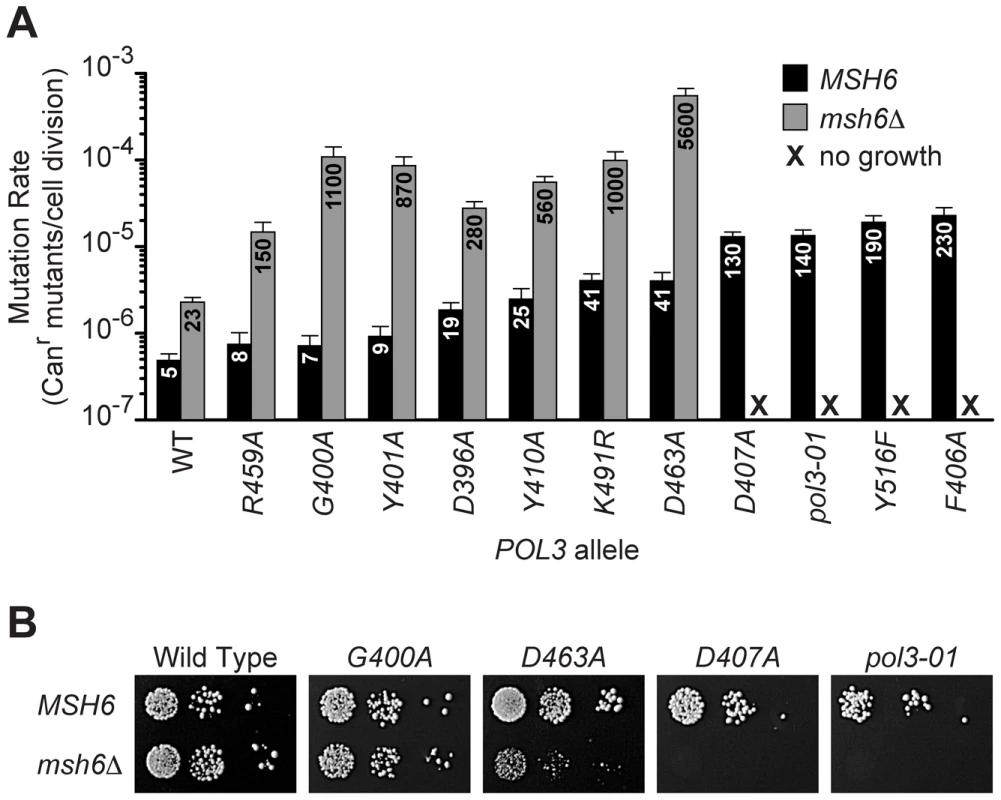 Evidence for a threshold of error-induced extinction.