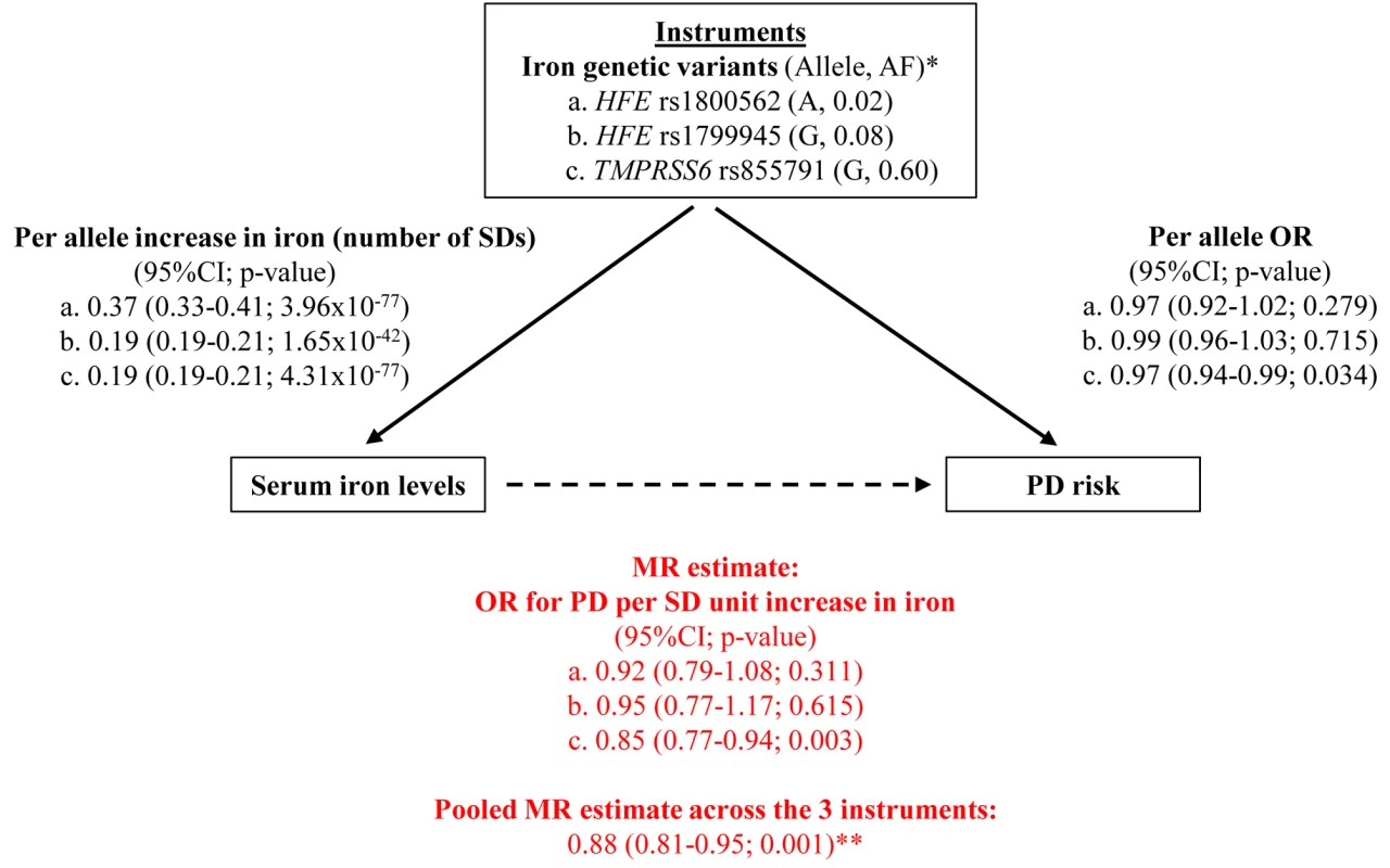 Graphical representation of the MR approach, with all estimates used to derive the final MR estimate.