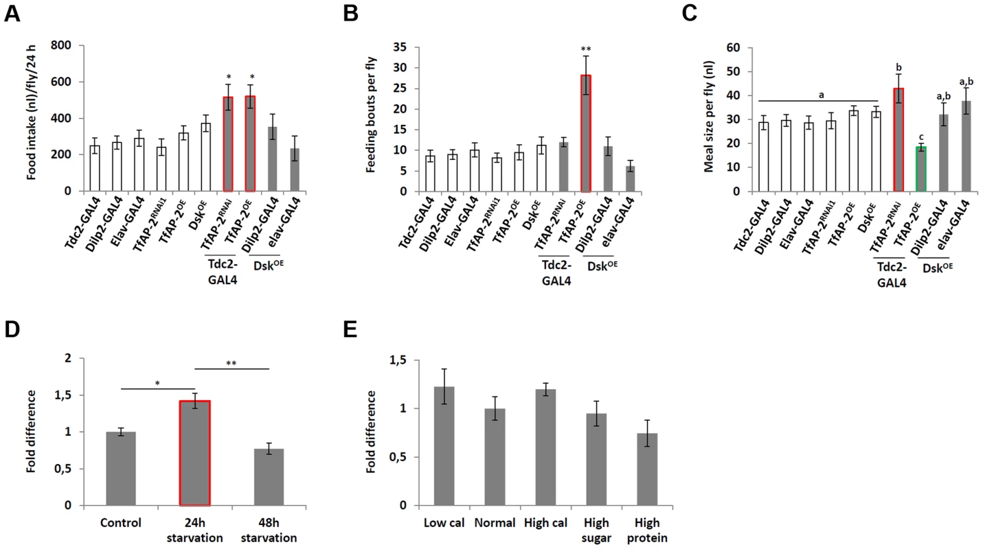 <i>Dsk</i> overexpression does not affect feeding behavior.
