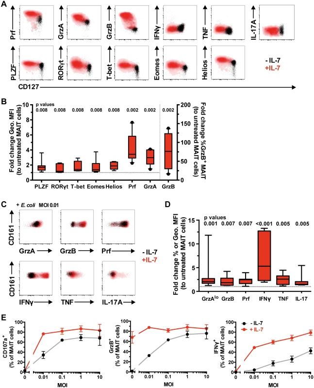 IL-7 arms MAIT cell cytotoxic capacity.