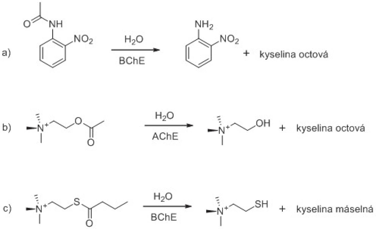 Ukázka štěpení aryl acylamidu, esteru a thioesteru pomocí cholinesteras. Hydrolýza o-nitroacetanilidu pomocí BChE (reakce a), acetylcholinu pomocí AChE (reakce b) a butyrylthiocholinu pomocí BChE (reakce c) jsou vyobrazeny jako příklady. Reakční schémata jsou upravena z citovaných prací <sup>61, 62).</sup>