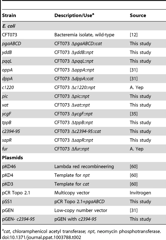 Bacterial strains and plasmids.