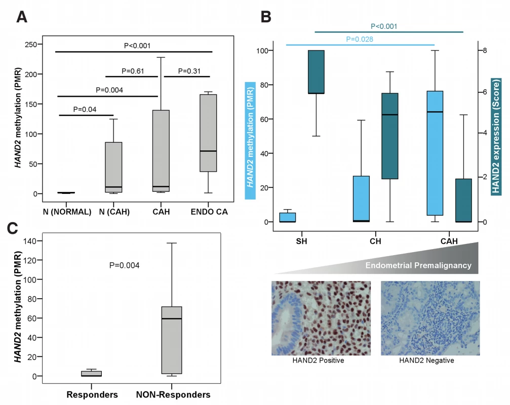 <i>HAND2</i> methylation in human endometrial carcinogenesis.