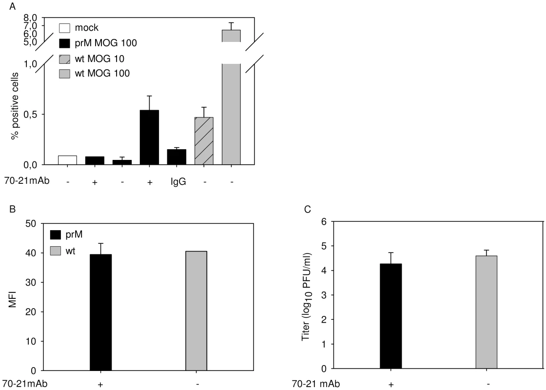 FcR-mediated entry of immature DENV does not enhance the number of progeny virions produced per cell.