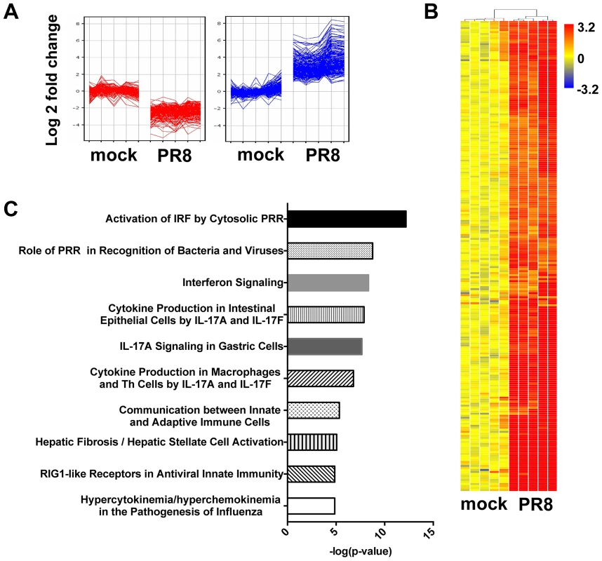 In primary MTEC, influenza A infection induces an IFN signature.