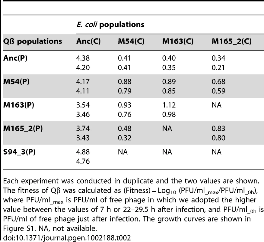 Fitness of ancestral and evolved Qβ.