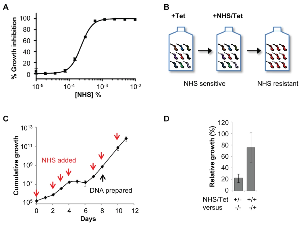 A genome-scale <i>T. b. brucei</i> RNAi library screening strategy for human serum resistance.