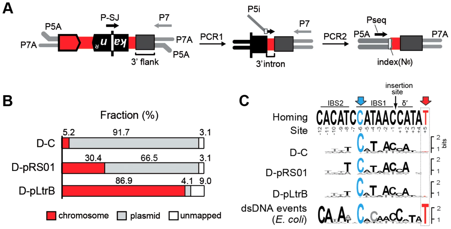 Mapping of intron insertion sites with RIG-seq.