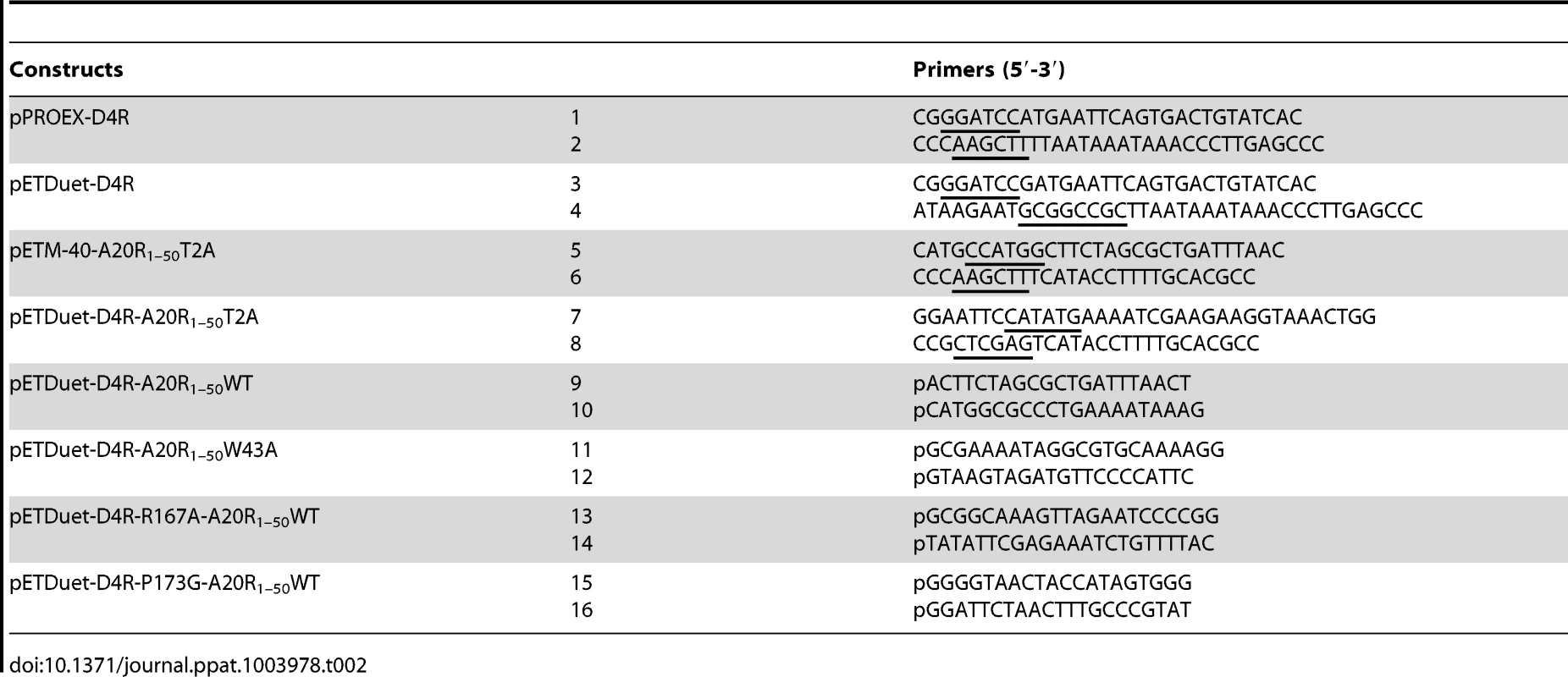 Primers used for cloning.