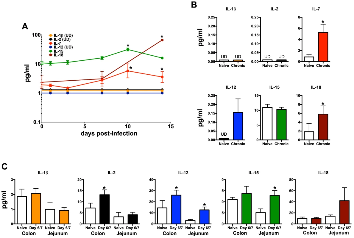 Quantification of inflammatory cytokines in SIV-infected macaques.