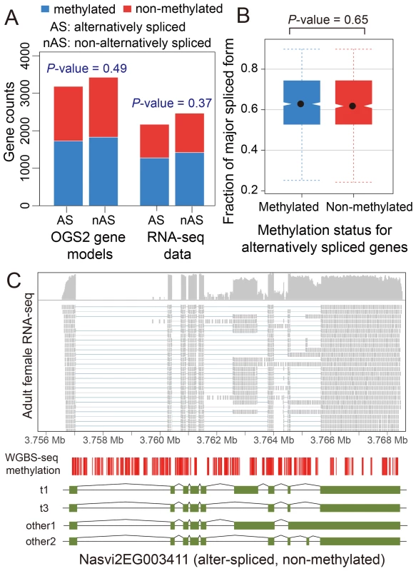 DNA methylation and alternative splicing.